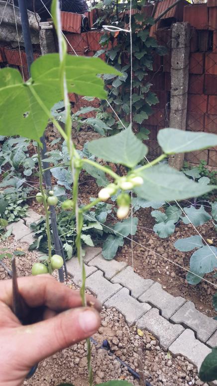 Name:  PicsArt_1443361462647.jpg
Views: 623
Size:  77.9 KB