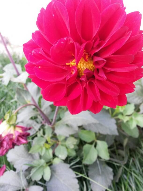 Name:  yldz.jpg
Views: 638
Size:  55.1 KB