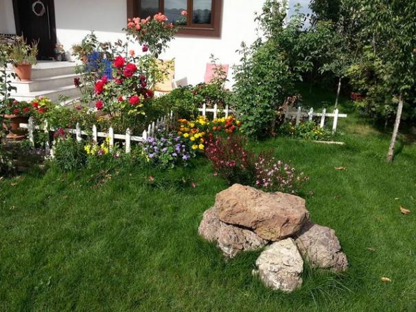 Name:  12032150_10153663143748415_4874636142872975966_n.jpg
Views: 270
Size:  71.6 KB