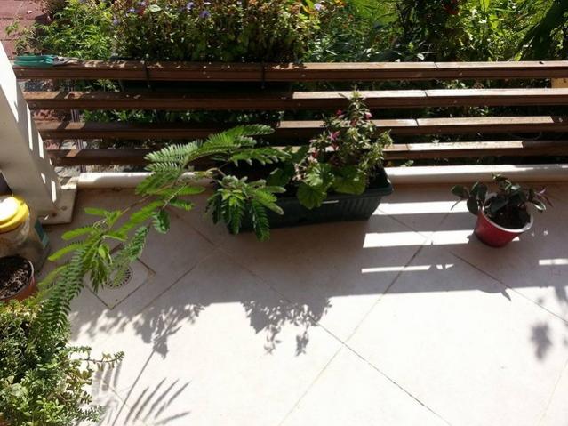 Name:  12109267_10153675217208415_669627820091618349_n.jpg
Views: 431
Size:  57.2 KB