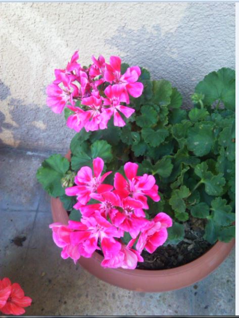 Name:  sa1.JPG
Views: 386
Size:  61.4 KB