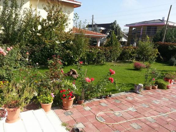 Name:  12122568_10153675216463415_8555023152041397270_n.jpg
Views: 439
Size:  71.5 KB