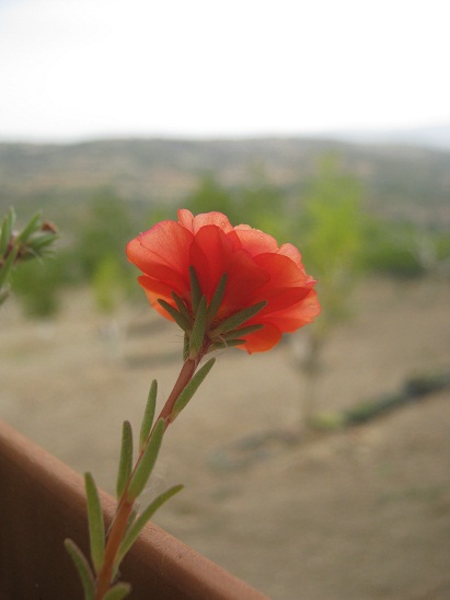 Name:  ipek.jpg
Views: 975
Size:  60.2 KB