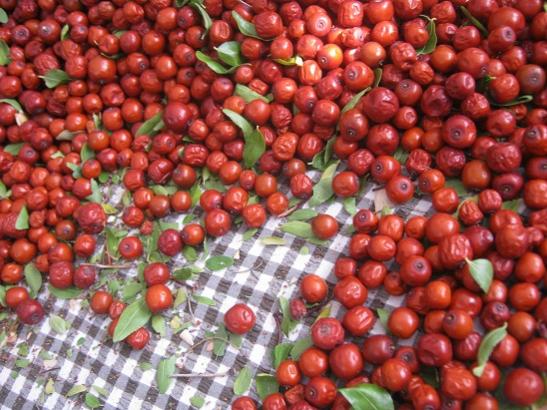 Name:  ayklama.jpg
Views: 967
Size:  55.3 KB