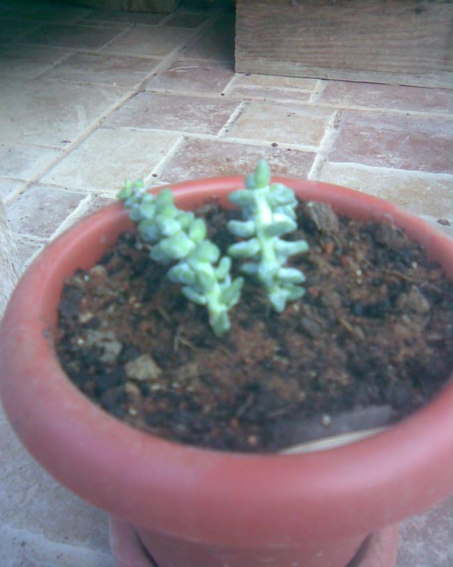 Name:  s.13.jpg
Views: 329
Size:  52.0 KB
