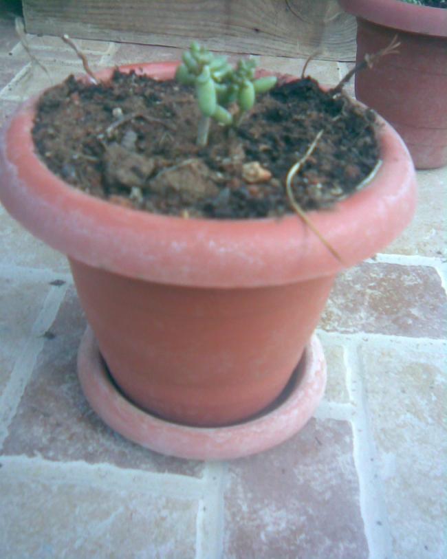Name:  s.14.jpg
Views: 316
Size:  50.2 KB