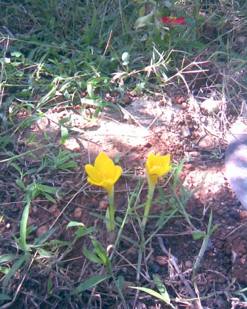 Name:  G E.jpg
Views: 330
Size:  78.4 KB