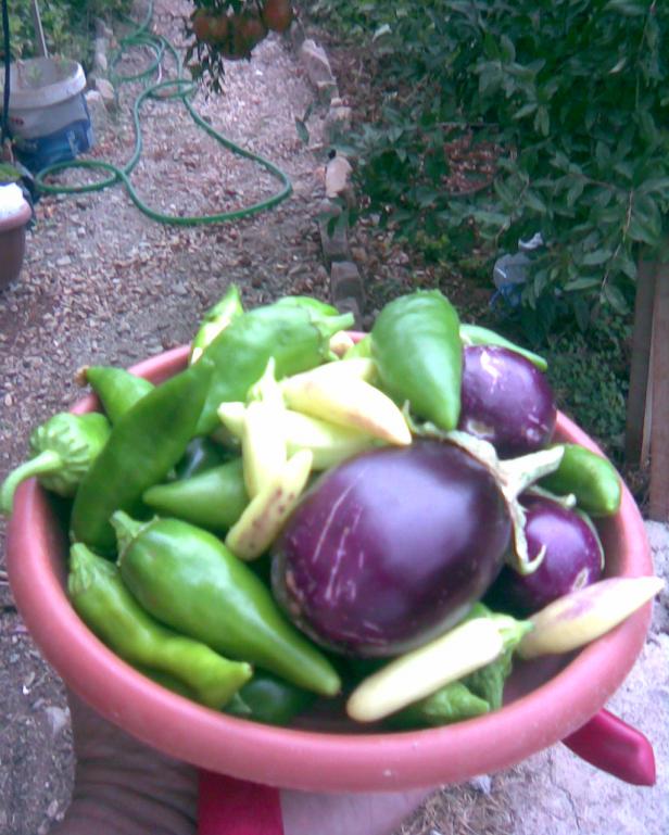 Name:  rnler devam.jpg
Views: 335
Size:  72.0 KB