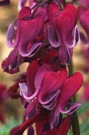 Name:  images.jpg
Views: 554
Size:  7.5 KB