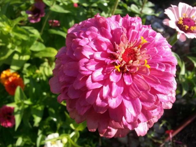 Name:  11231678_10153597058778415_2293210072409137927_n.jpg
Views: 413
Size:  51.3 KB