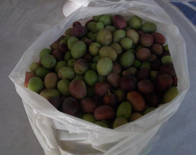 Name:  DSCF8187.jpg
Views: 381
Size:  31.5 KB