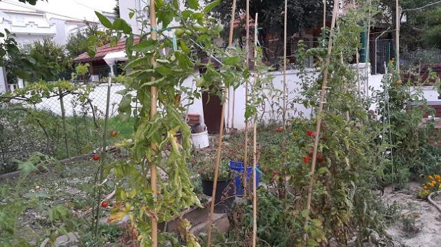 Name:  20151010_181122.jpg
Views: 646
Size:  70.4 KB