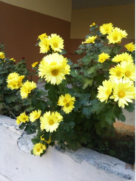 Name:  ka4.JPG
Views: 260
Size:  53.4 KB
