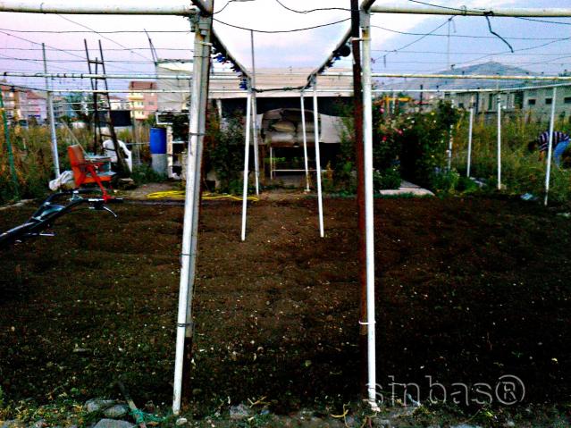 Name:  temizlikbitti1.jpg
Views: 766
Size:  69.7 KB