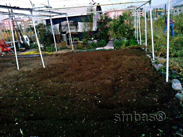 Name:  temizlikbitti2.jpg
Views: 826
Size:  70.9 KB