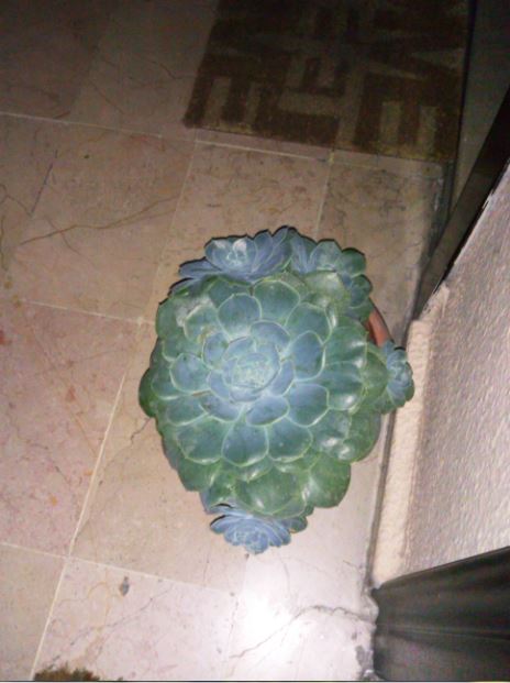 Name:  Ekran Alnts.JPG
Views: 723
Size:  45.3 KB