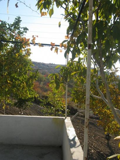 Name:  sonbahar1.jpg
Views: 1065
Size:  48.8 KB