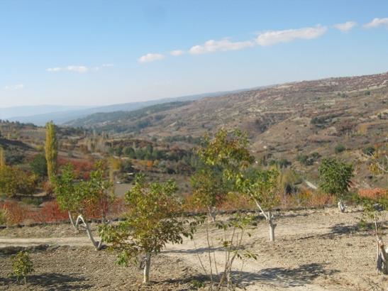 Name:  sonbahar4.jpg
Views: 1090
Size:  41.1 KB