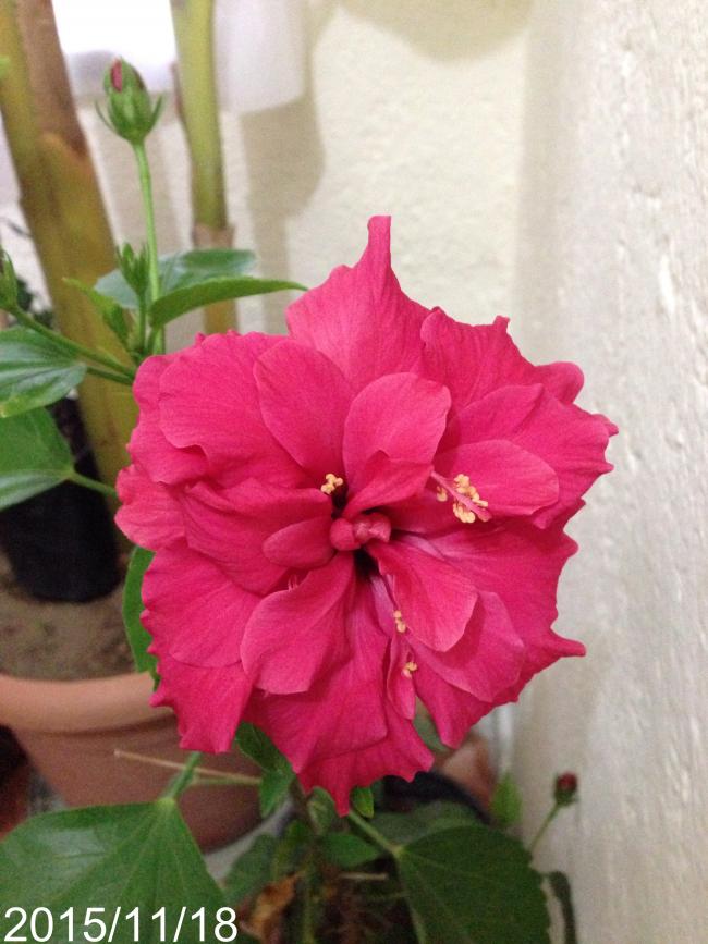Name:  image.jpg
Views: 520
Size:  66.1 KB