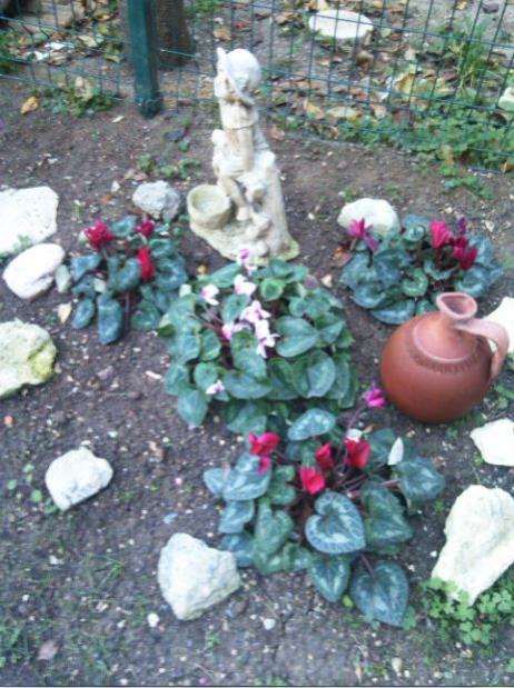 Name:  s.jpg
Views: 597
Size:  61.5 KB