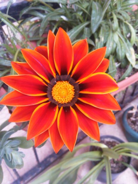 Name:  ga.JPG
Views: 290
Size:  55.3 KB