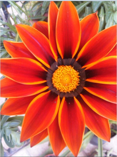 Name:  ga2.JPG
Views: 252
Size:  55.6 KB