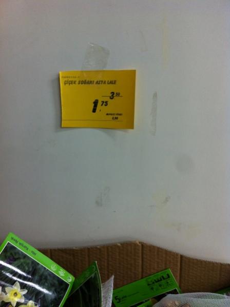 Name:  IMG_0892.jpg
Views: 597
Size:  19.1 KB