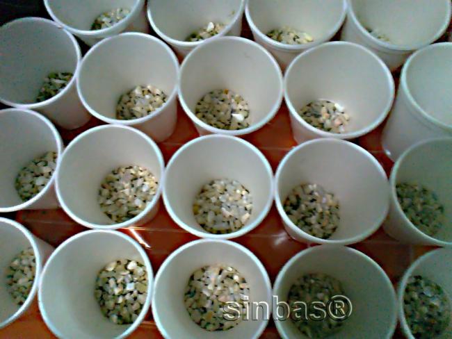 Name:  sardunya hazrlk1.jpg
Views: 608
Size:  47.0 KB