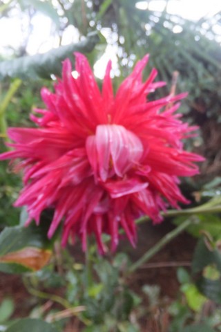 Name:  DSCF4075.jpg
Views: 331
Size:  44.0 KB