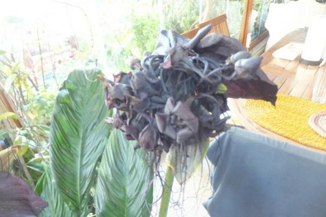 Name:  DSCF3084.jpg
Views: 412
Size:  39.5 KB