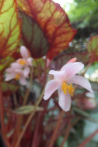 Name:  DSCF3771.jpg
Views: 399
Size:  37.1 KB