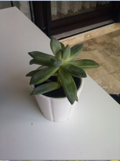 Name:  su1.JPG
Views: 372
Size:  31.7 KB