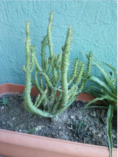 Name:  su3.jpg
Views: 334
Size:  52.3 KB