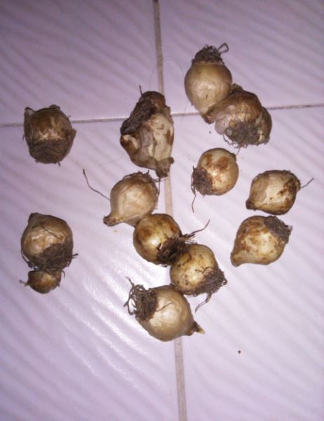 Name:  so1.JPG
Views: 599
Size:  39.1 KB