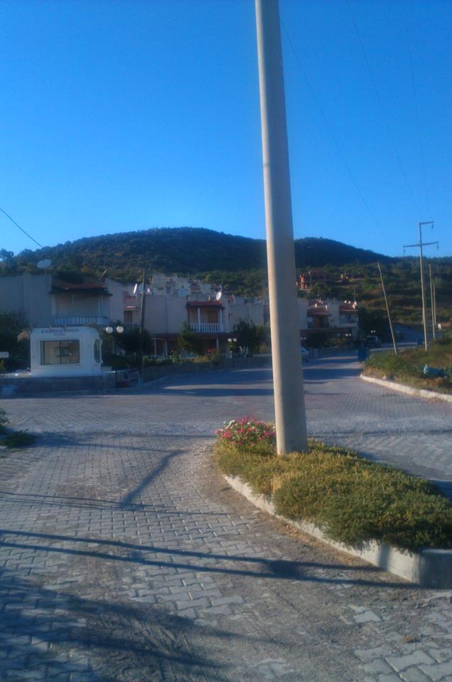 Name:  644419_4172727089378_677955304_n.jpg
Views: 498
Size:  65.0 KB