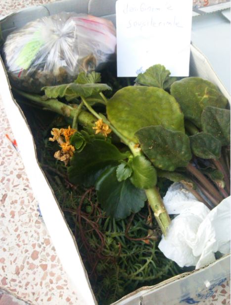 Name:  al.JPG
Views: 315
Size:  54.8 KB