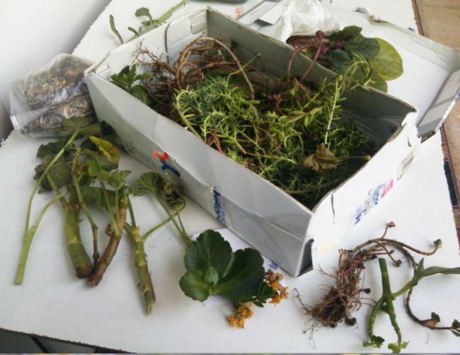 Name:  al1.jpg
Views: 310
Size:  48.7 KB