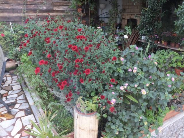 Name:  DSCF4637.jpg
Views: 314
Size:  67.3 KB