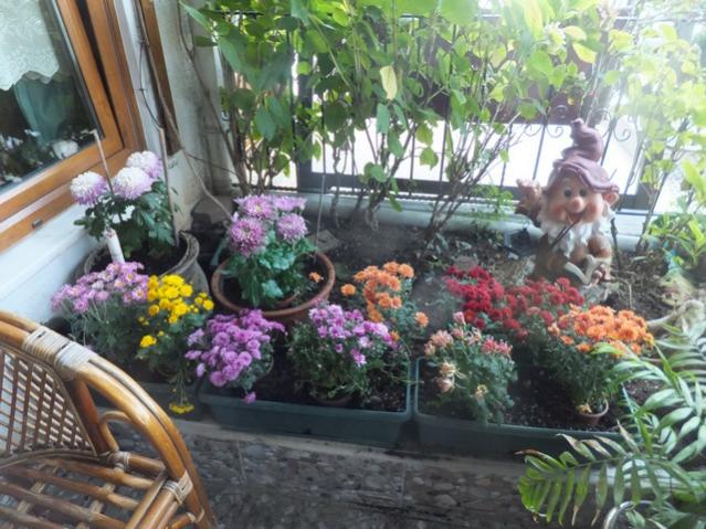 Name:  DSCF4734.jpg
Views: 325
Size:  64.8 KB