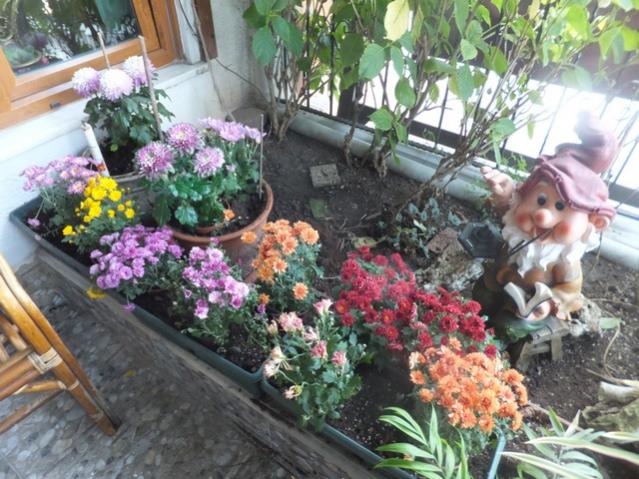 Name:  DSCF4736.jpg
Views: 312
Size:  67.0 KB