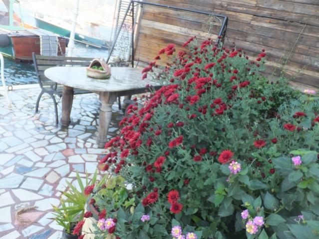 Name:  DSCF4740.jpg
Views: 312
Size:  63.1 KB