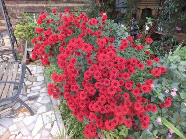 Name:  DSCF4773.jpg
Views: 293
Size:  69.9 KB
