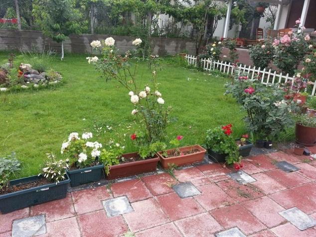 Name:  10955328_10153442139383415_4913697501280432270_n-640x640-640x640.jpg
Views: 432
Size:  71.0 KB