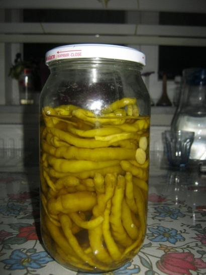 Name:  turu.jpg
Views: 447
Size:  29.0 KB