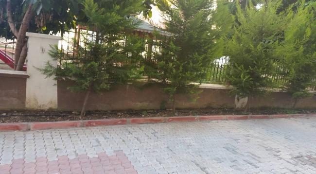 Name:  5474_10153954367129040_7538912212870214213_n.jpg
Views: 512
Size:  41.3 KB