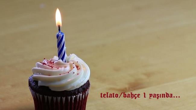 Name:  telato.jpg
Views: 595
Size:  17.0 KB