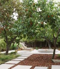 Name:  af0105d20fcfc410_3556-w500-h666-b0-p0--contemporary-patio.jpg
Views: 922
Size:  16.7 KB