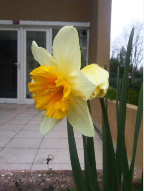 Name:  nr.JPG
Views: 403
Size:  39.8 KB