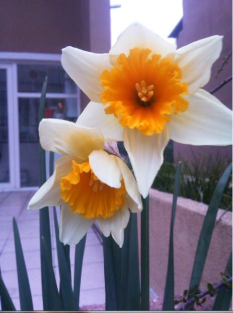 Name:  nr1.JPG
Views: 391
Size:  41.5 KB
