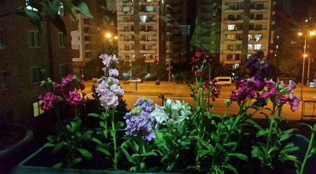 Name:  12798922_10154042324164040_1786767708659676218_n.jpg
Views: 617
Size:  42.7 KB